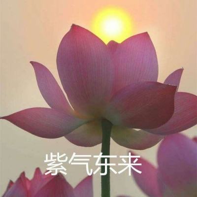 你行你上啊免费下载